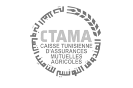CTAMA ASSURANCES.