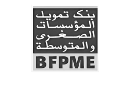 La Banque de Financement des Petites et Moyennes Entreprises (BFPME)