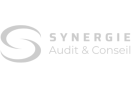 SYNERGIES AUDIT & CONSEILS SA